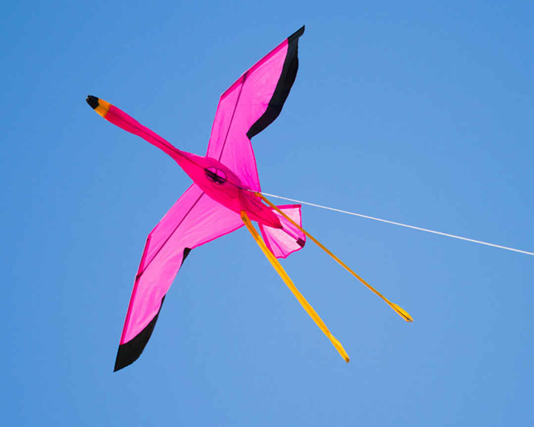 HQ 3D Kite Flamingo